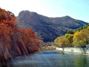 新澳天天开奖资料大全旅游团，闯荡隋唐